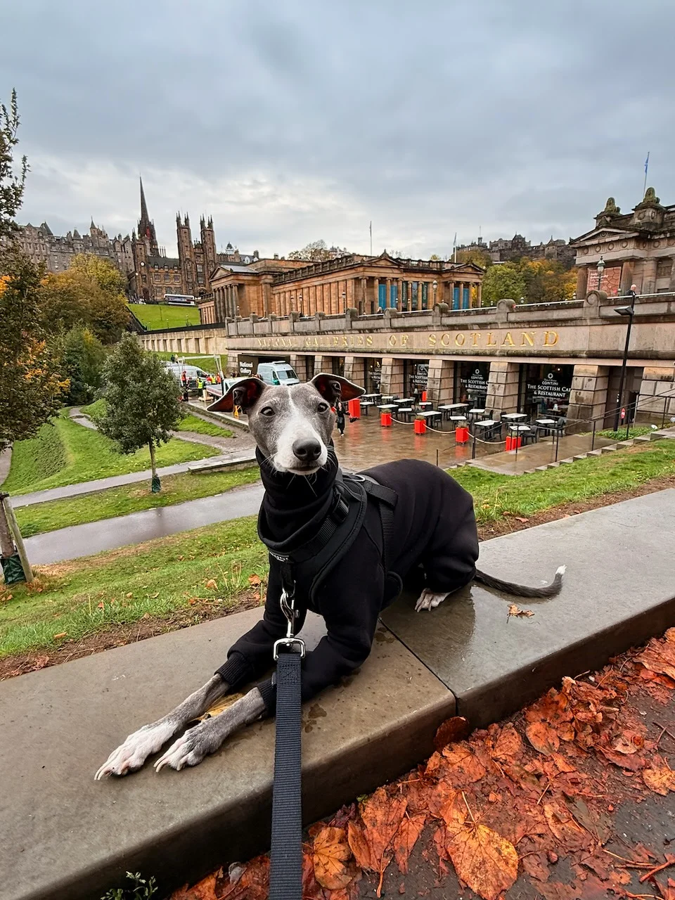 Zuko laying down on some wet concrete in a full black onesie and Edinburgh in the background in front of the National Gallery of Scotland